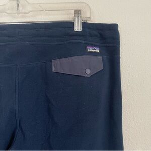 Patagonia Navy Track Pants